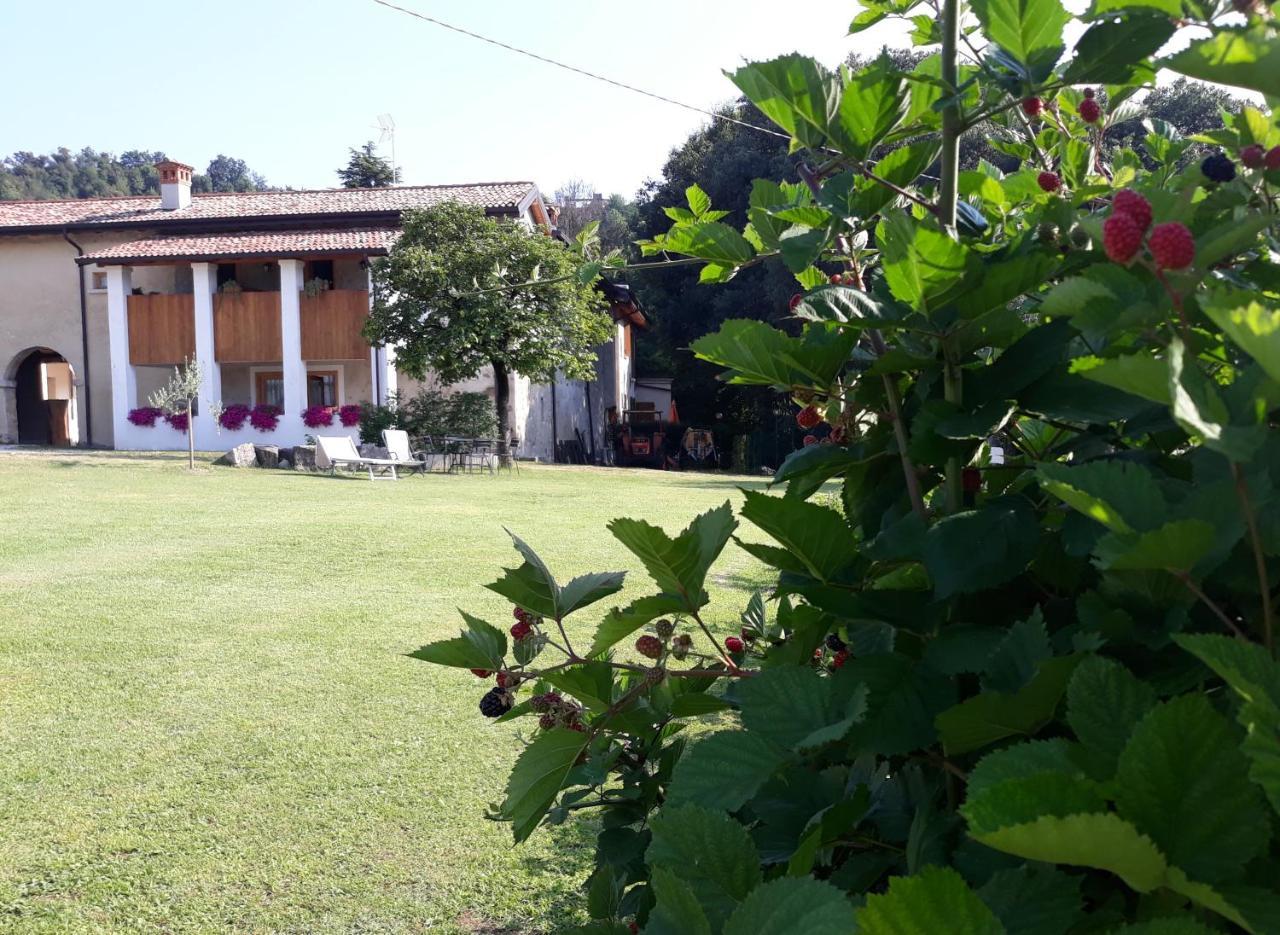 Villa Agriturismo La Scala Saló Exterior foto